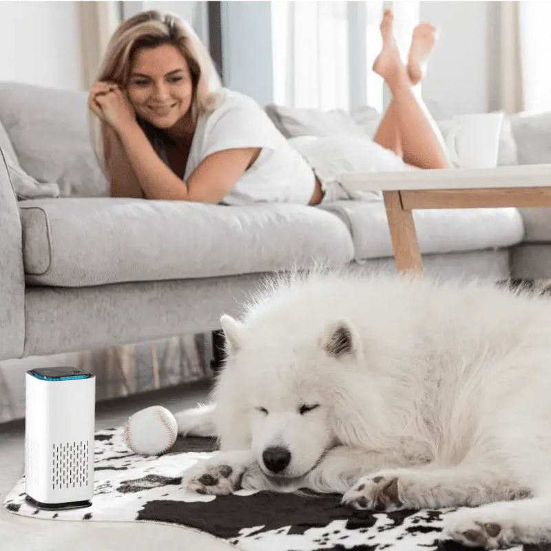 BioBlean - Dog Air Purifier